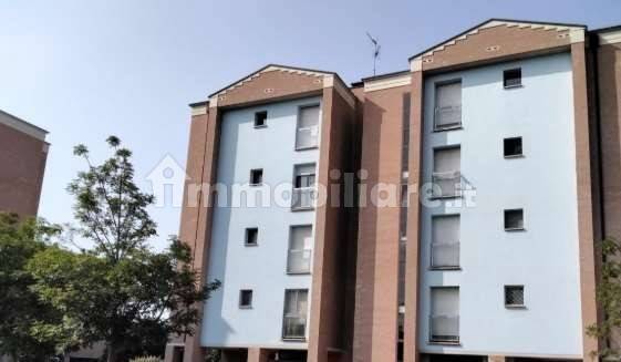 immagine annuncio 1 di 12