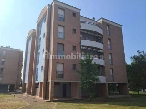 immagine annuncio 8 di 12