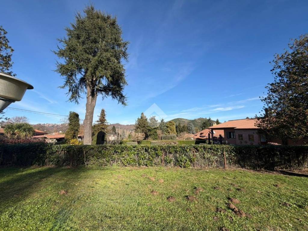 immagine annuncio 5 di 7