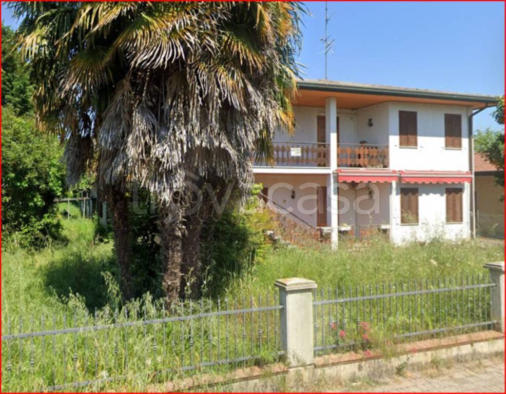 immagine annuncio 6 di 11