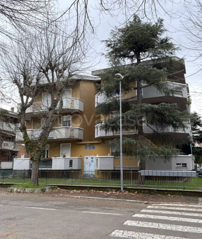 immagine annuncio 2 di 14