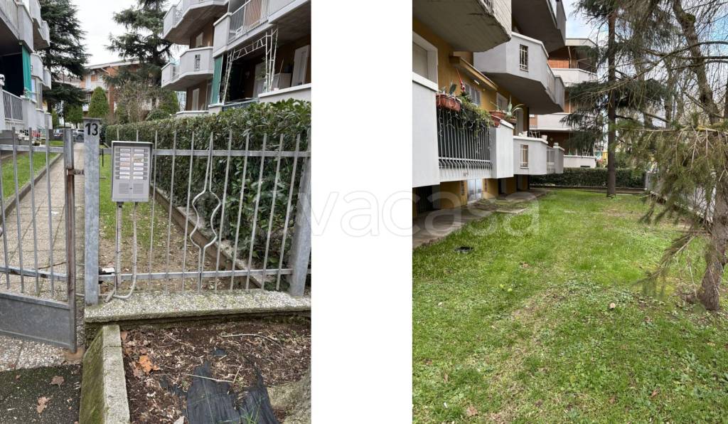 immagine annuncio 3 di 14