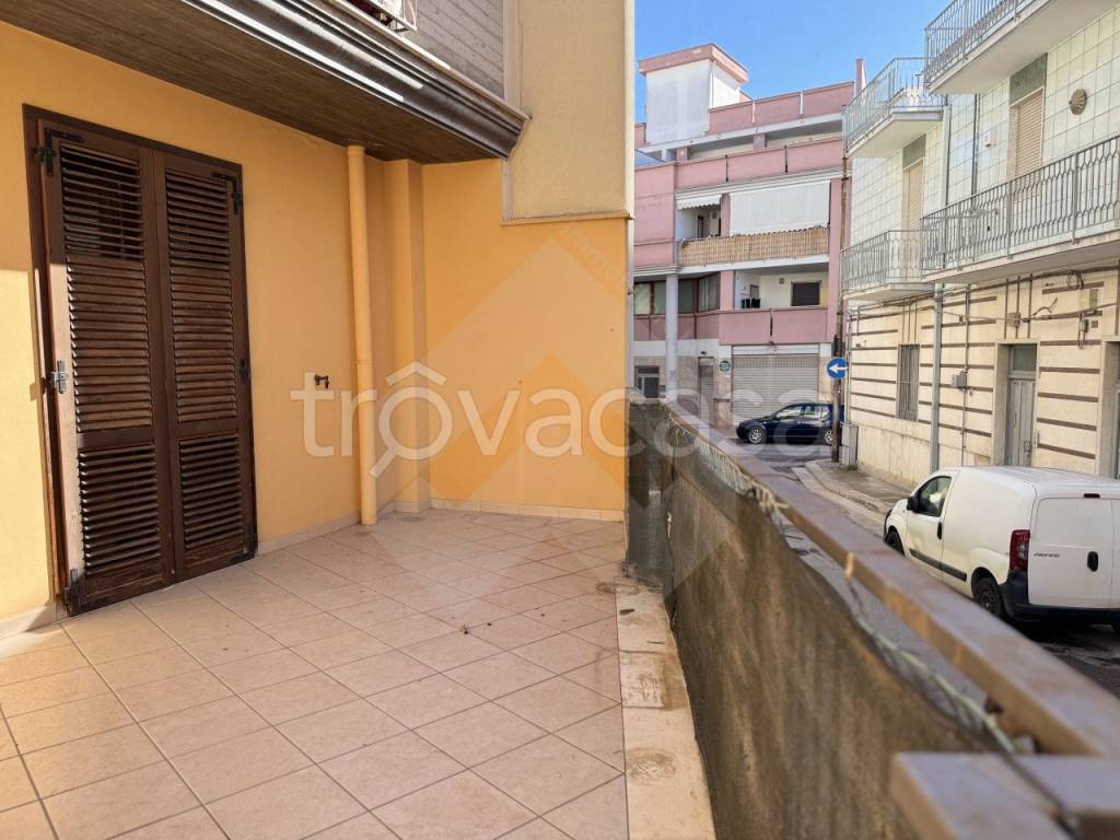 immagine annuncio 6 di 12