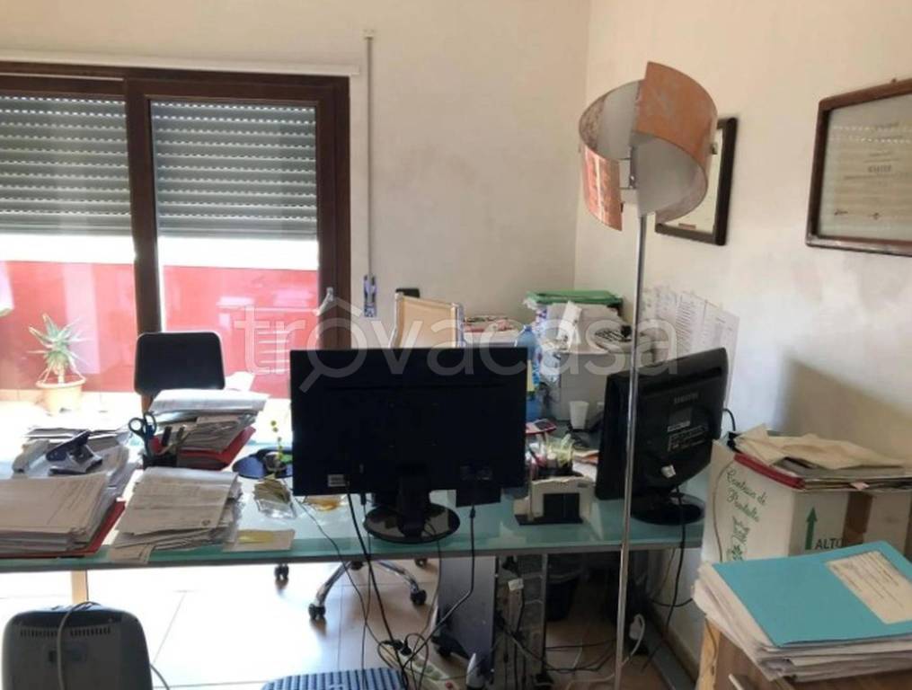 immagine annuncio 3 di 12