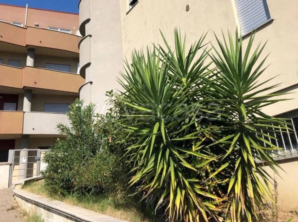 immagine annuncio 7 di 12