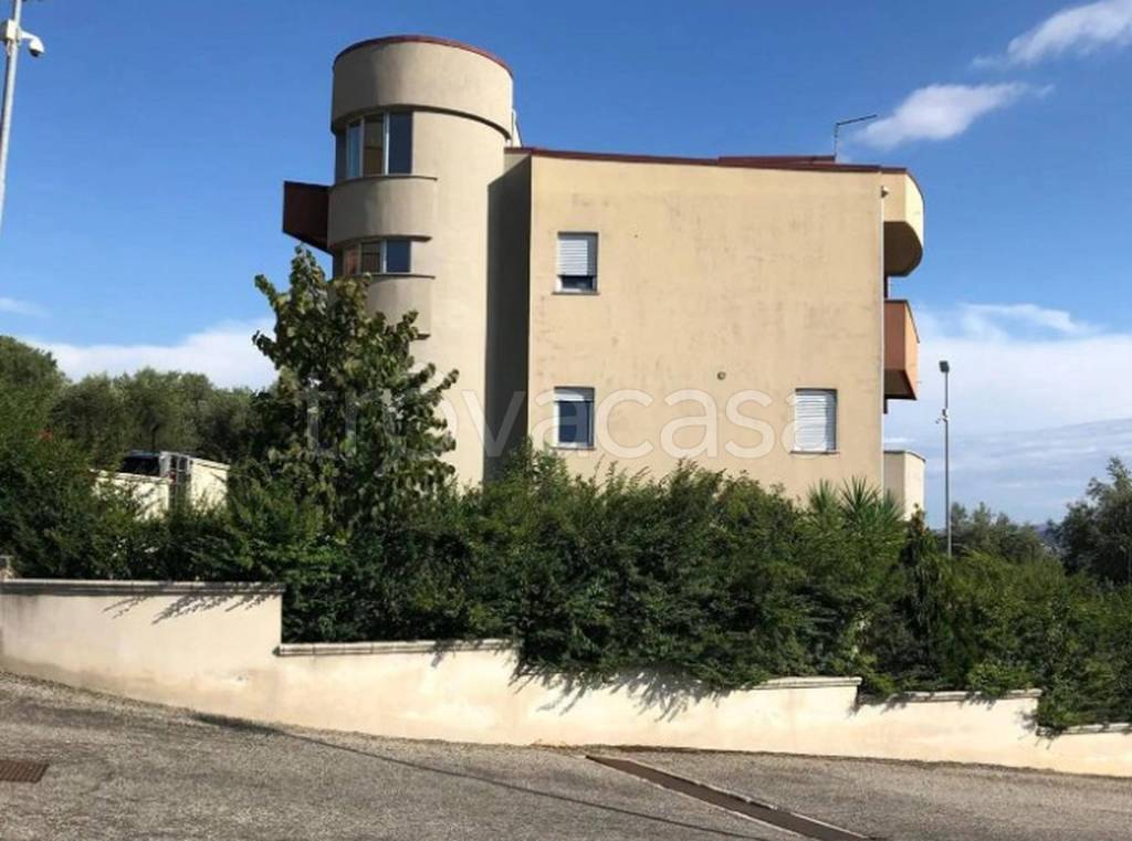 immagine annuncio 10 di 12