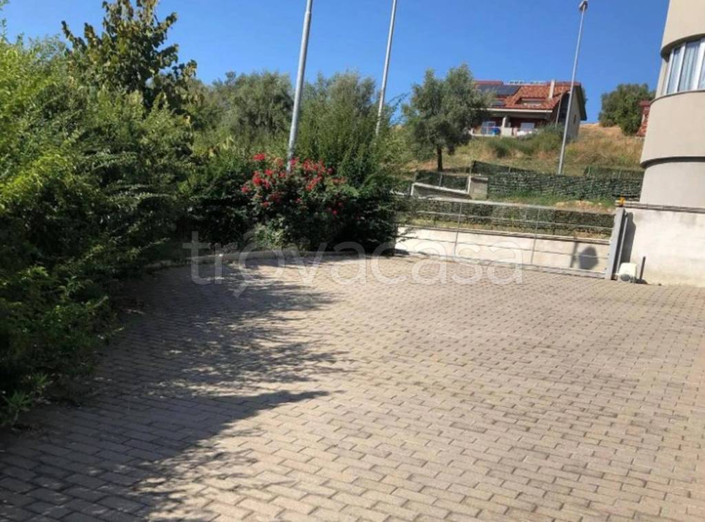 immagine annuncio 11 di 12