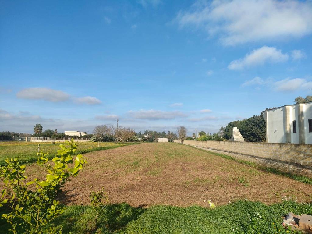 immagine annuncio 10 di 15