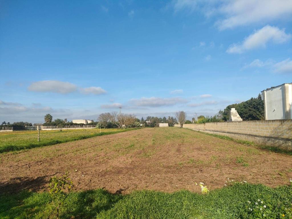 immagine annuncio 11 di 15