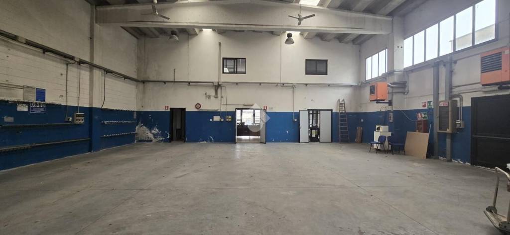 immagine annuncio 9 di 15