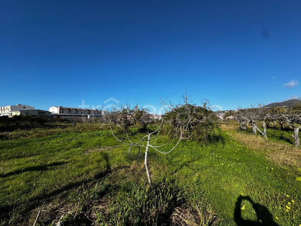 immagine annuncio 2 di 8