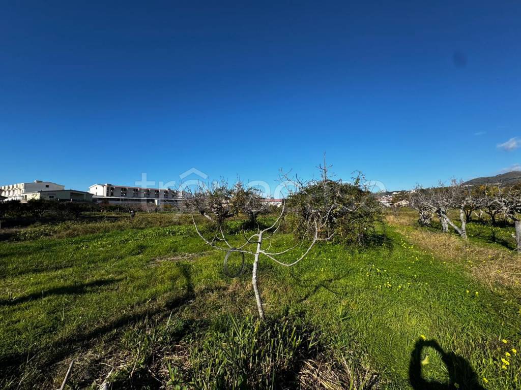 immagine annuncio 4 di 8