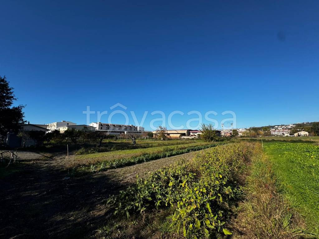 immagine annuncio 5 di 8