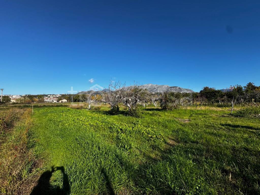 immagine annuncio 7 di 8