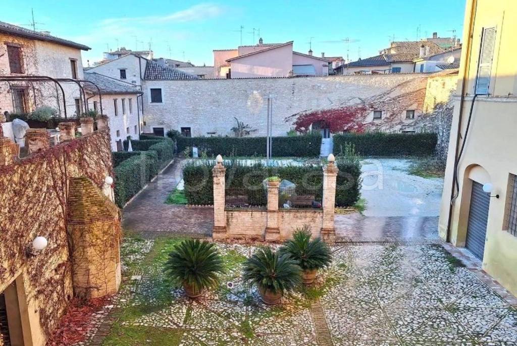 immagine annuncio 8 di 11