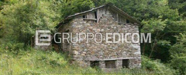 immagine annuncio 1 di 6