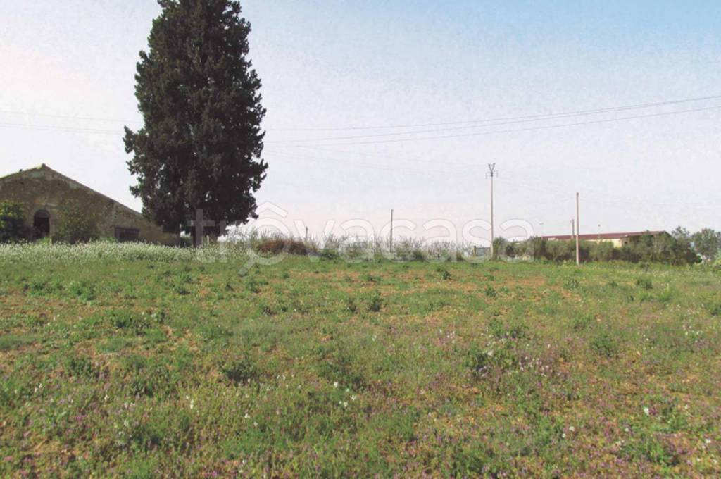 immagine annuncio 8 di 11