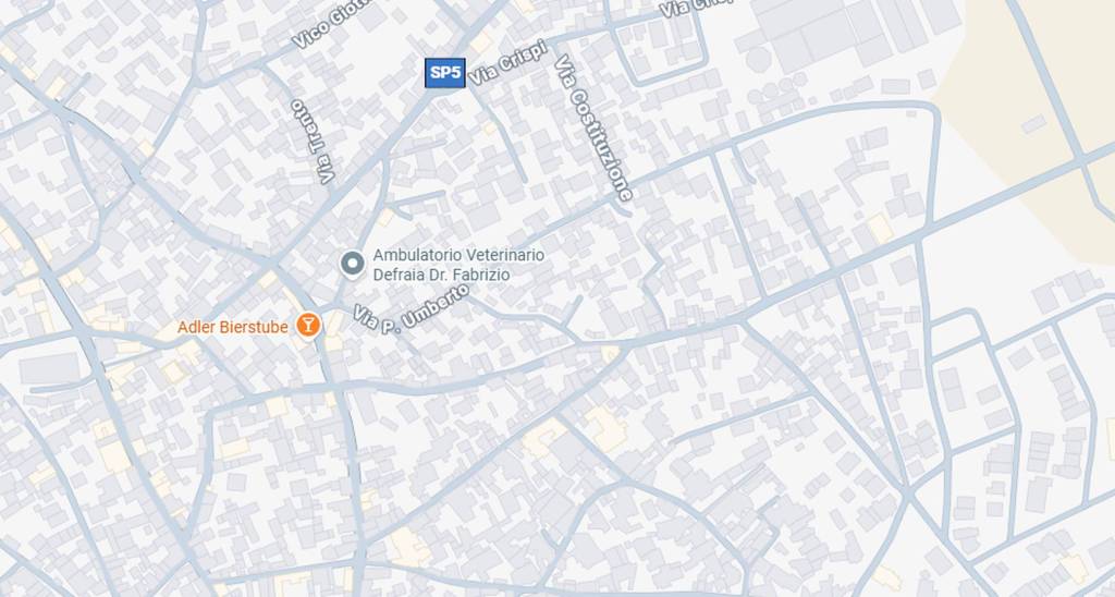 immagine annuncio 1 di 11