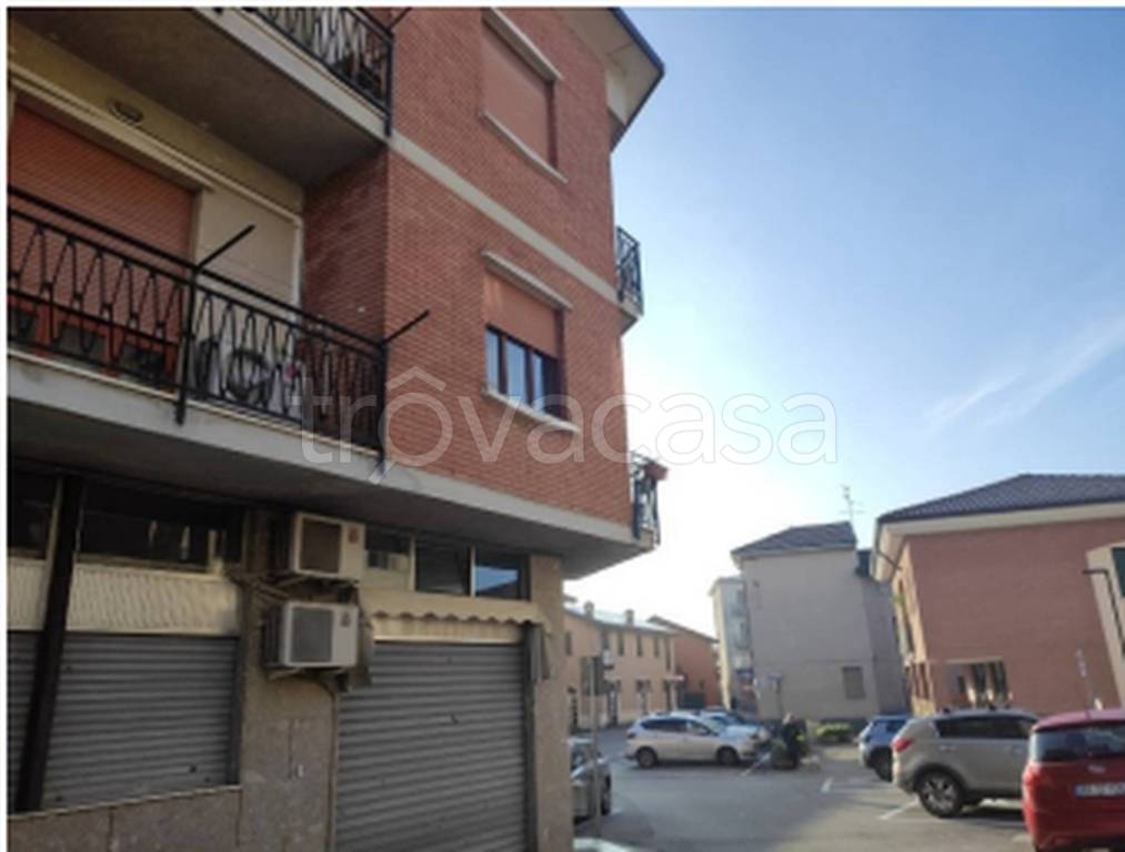 immagine annuncio 10 di 11