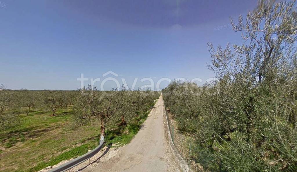 immagine annuncio 3 di 14