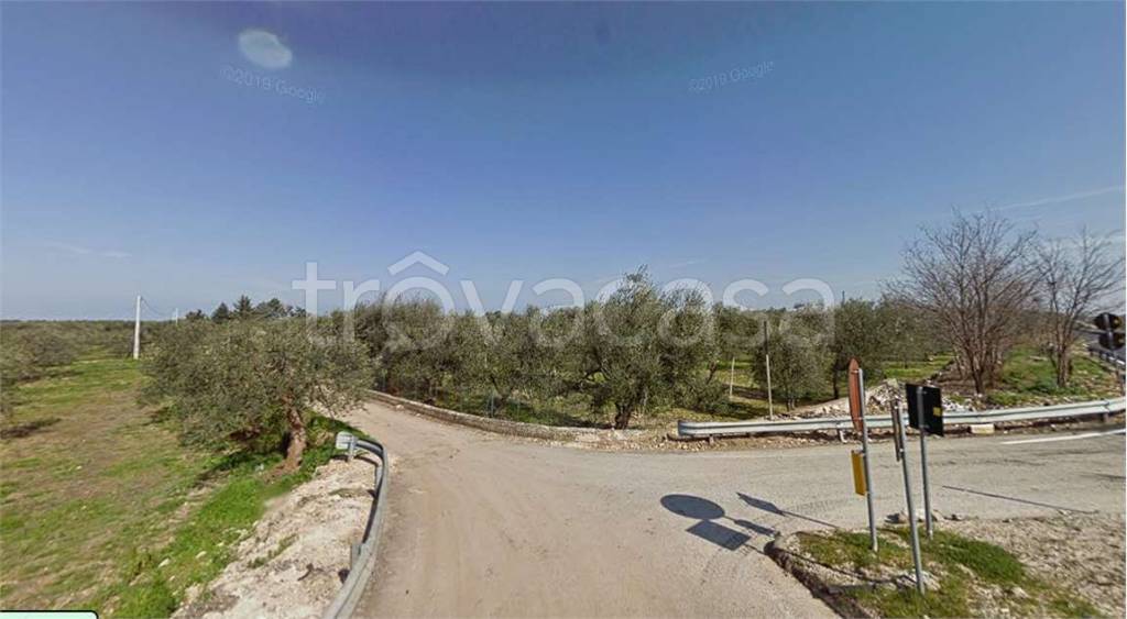 immagine annuncio 4 di 14