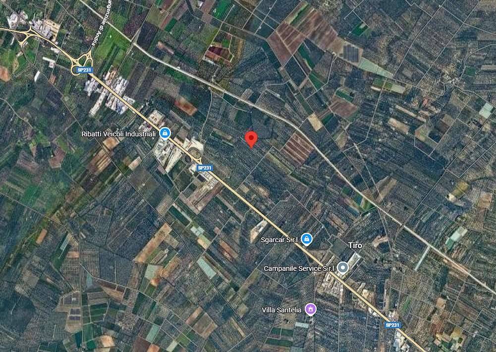 immagine annuncio 8 di 14