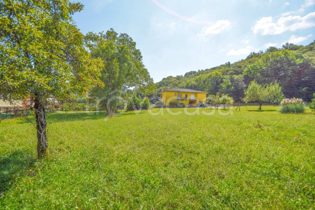 immagine annuncio 3 di 11