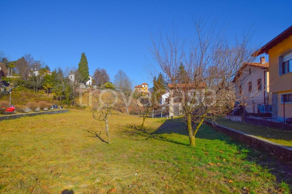 immagine annuncio 2 di 9