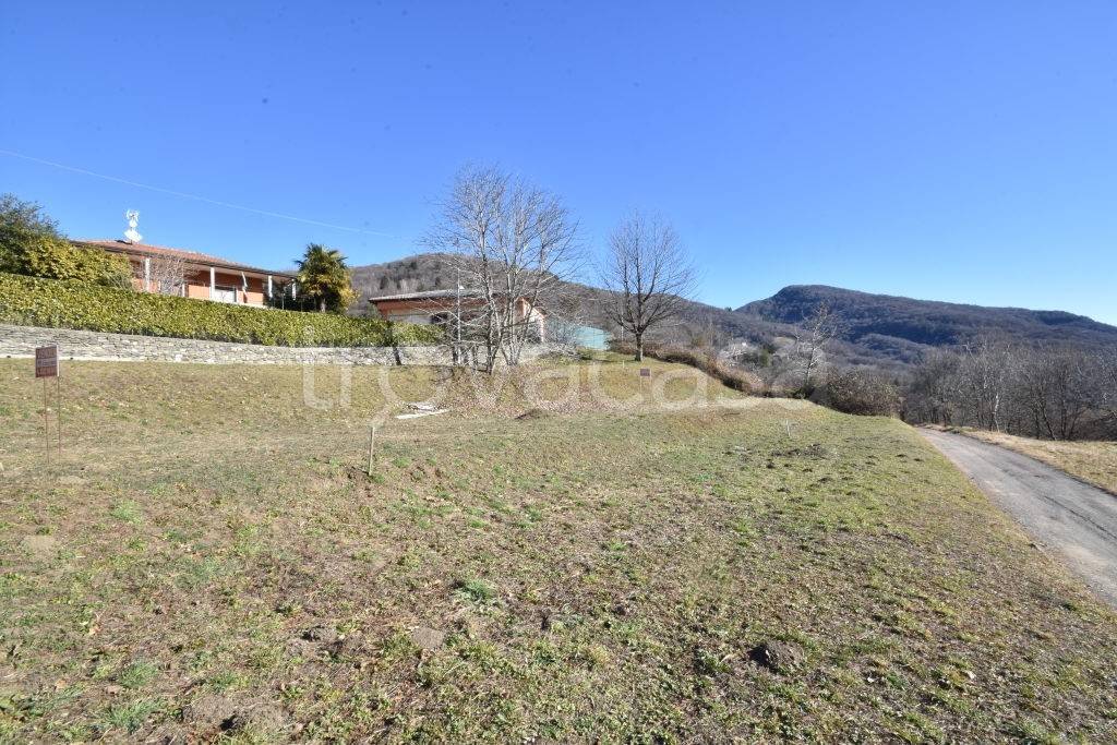 immagine annuncio 2 di 7