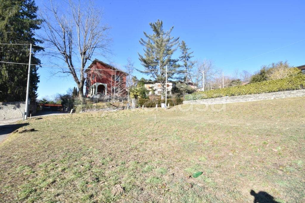 immagine annuncio 3 di 7