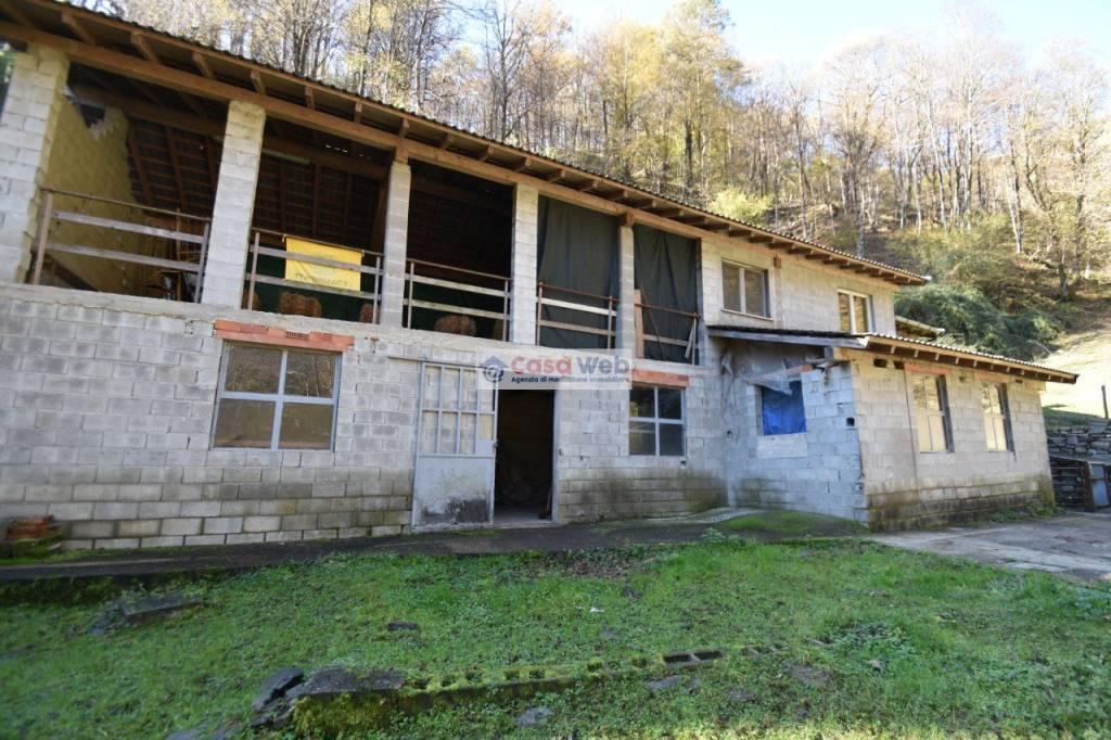 immagine annuncio 4 di 13