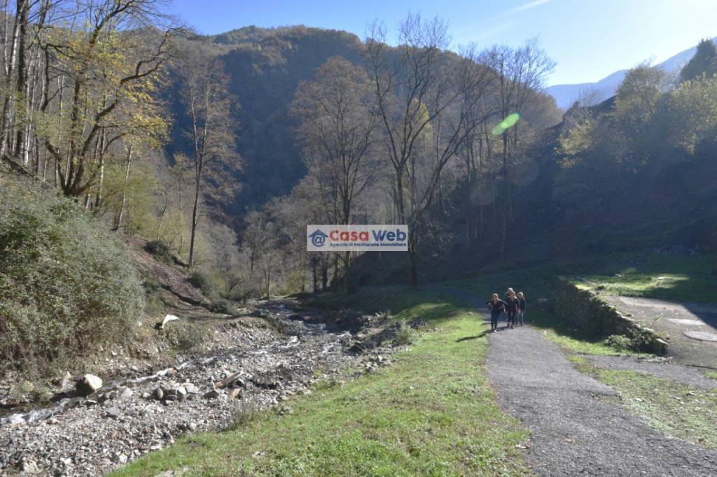 immagine annuncio 10 di 13