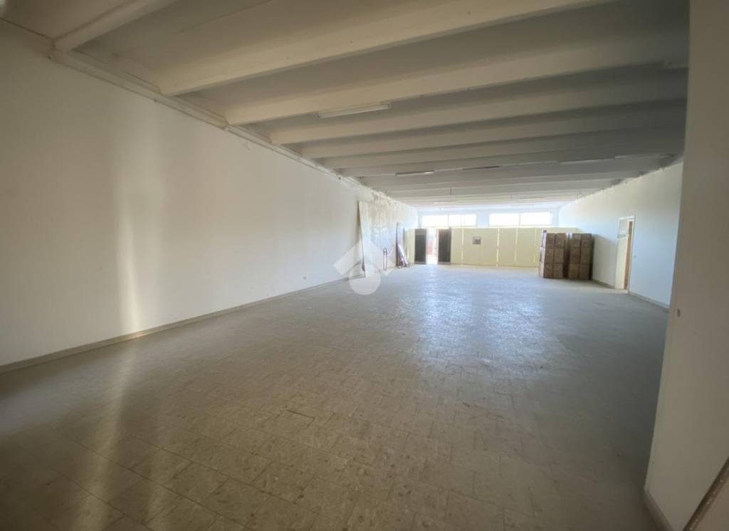 immagine annuncio 4 di 9