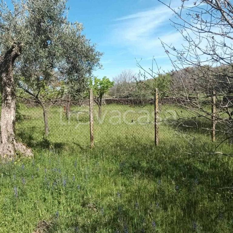 immagine annuncio 8 di 13