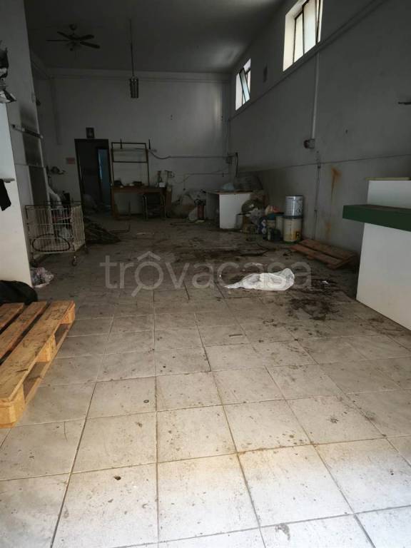 immagine annuncio 7 di 11