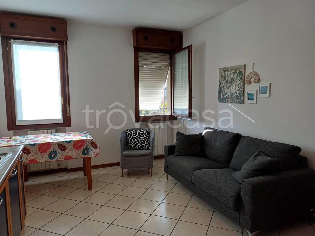 immagine annuncio 1 di 12