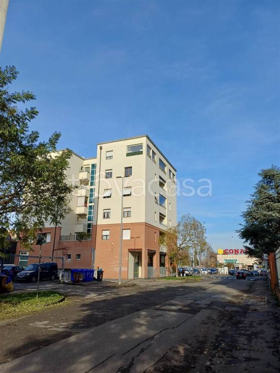 immagine annuncio 11 di 12