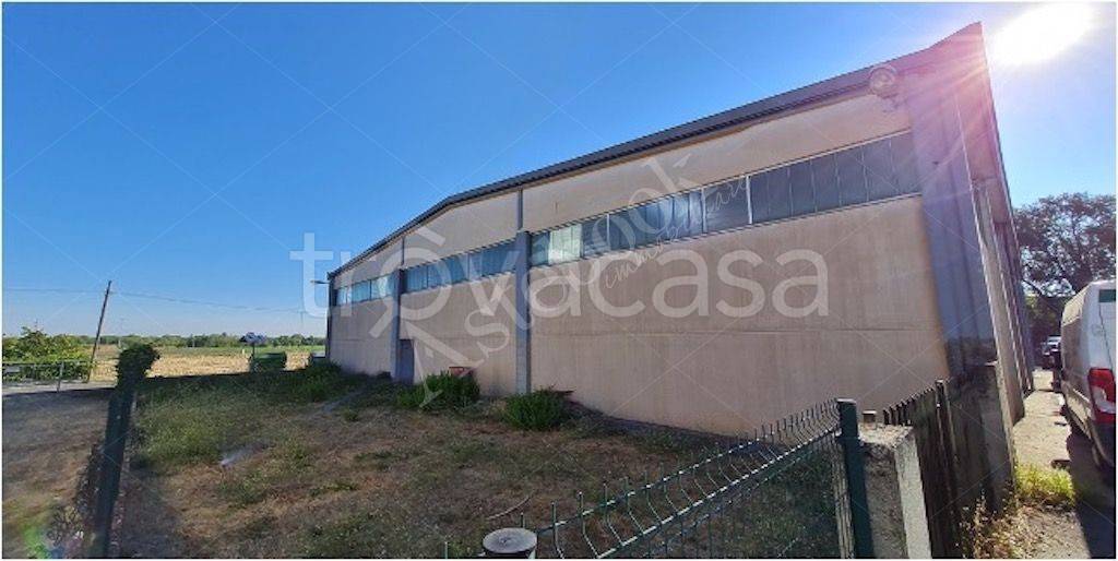 immagine annuncio 1 di 9