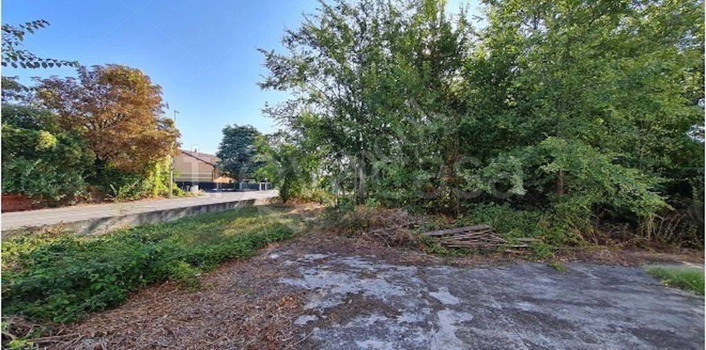 immagine annuncio 3 di 9