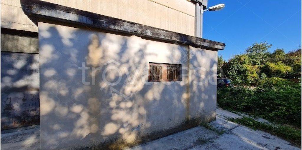 immagine annuncio 4 di 9