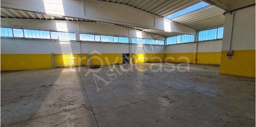 immagine annuncio 7 di 9