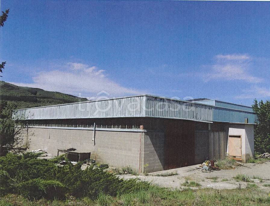 immagine annuncio 3 di 8