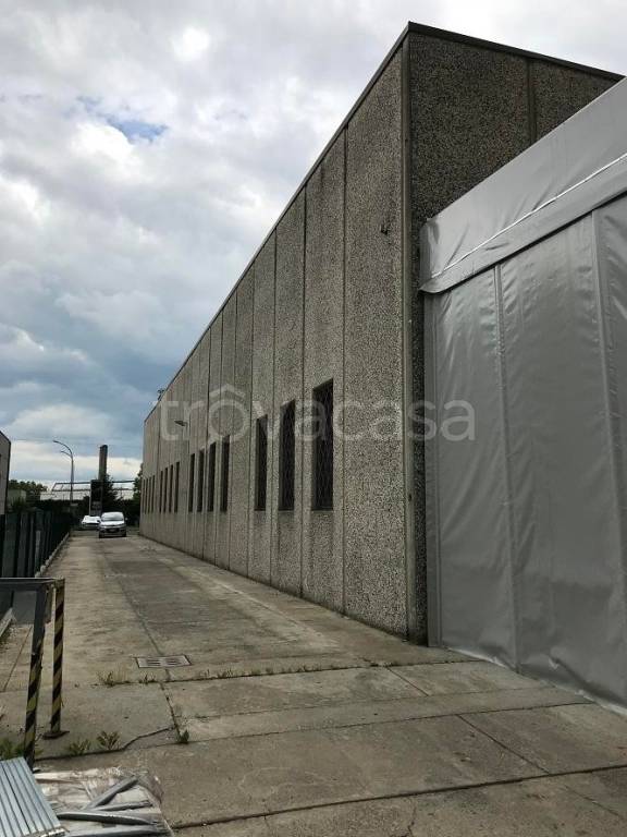 immagine annuncio 2 di 15