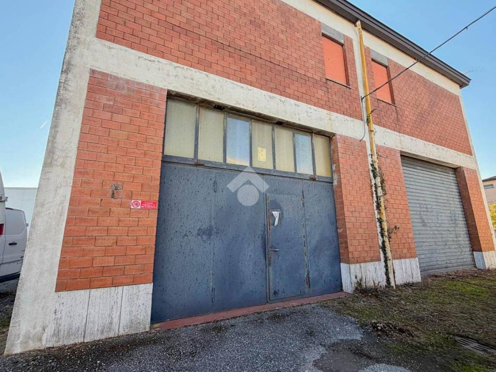 immagine annuncio 12 di 15