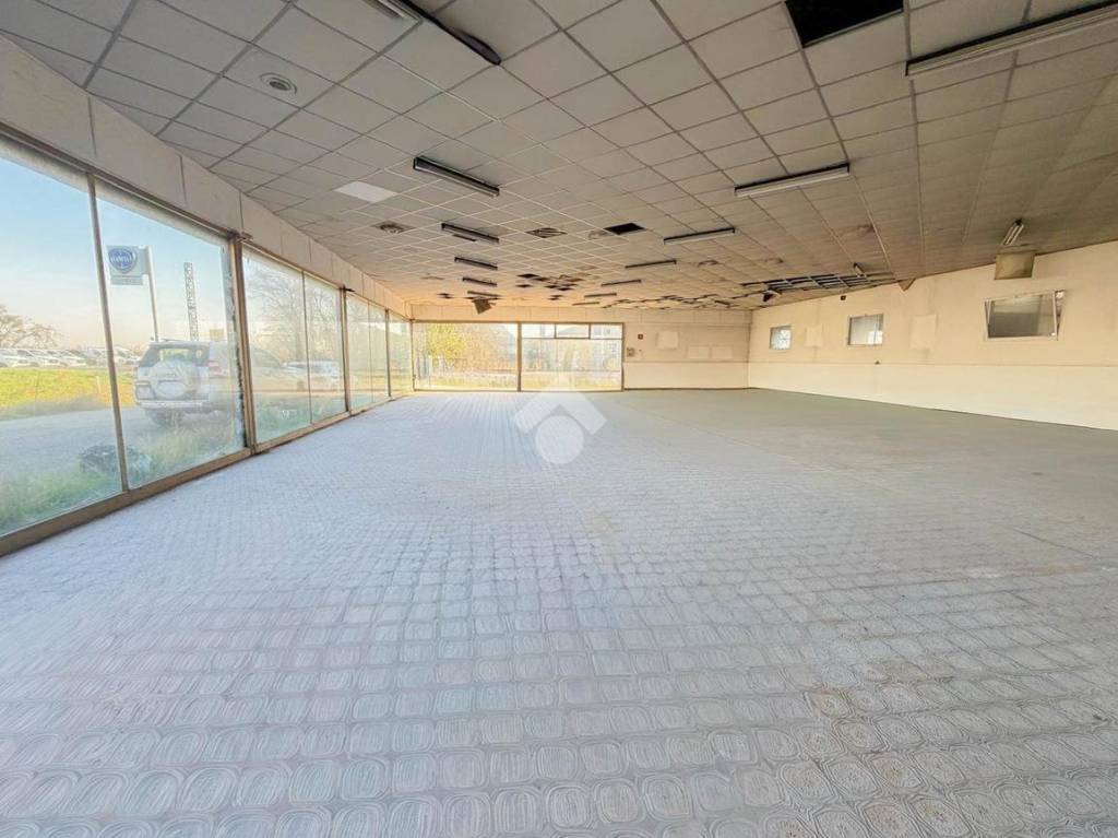 immagine annuncio 2 di 13