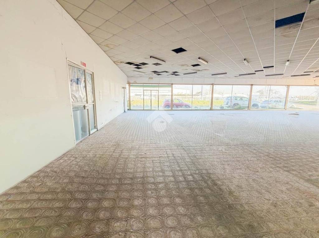 immagine annuncio 3 di 13