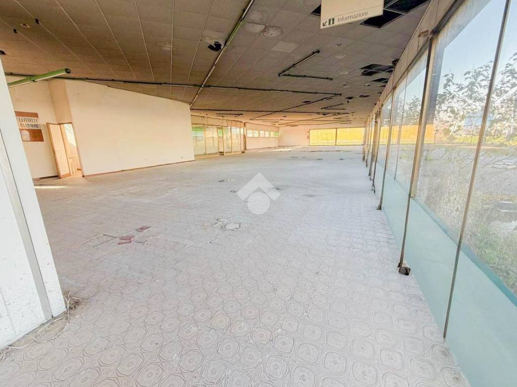 immagine annuncio 9 di 13