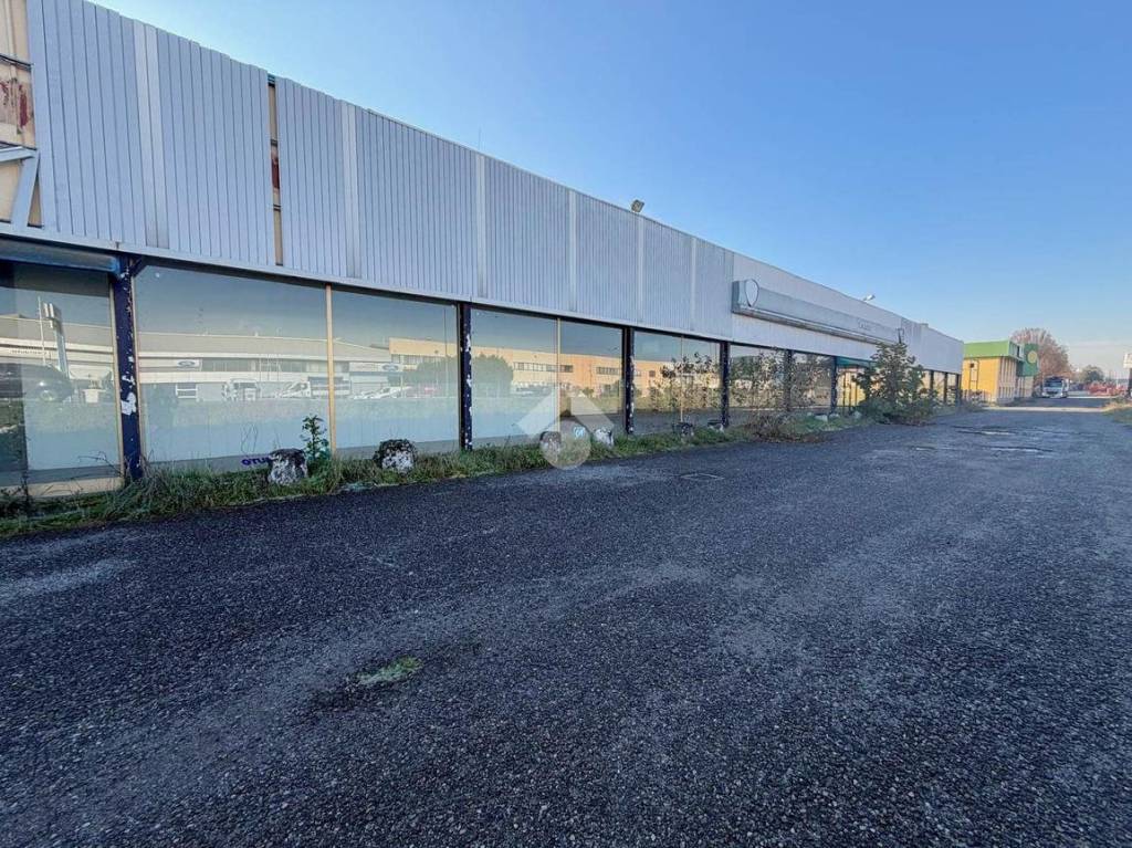 immagine annuncio 12 di 13