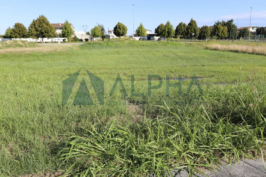 immagine annuncio 6 di 11