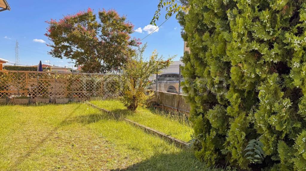 immagine annuncio 4 di 7